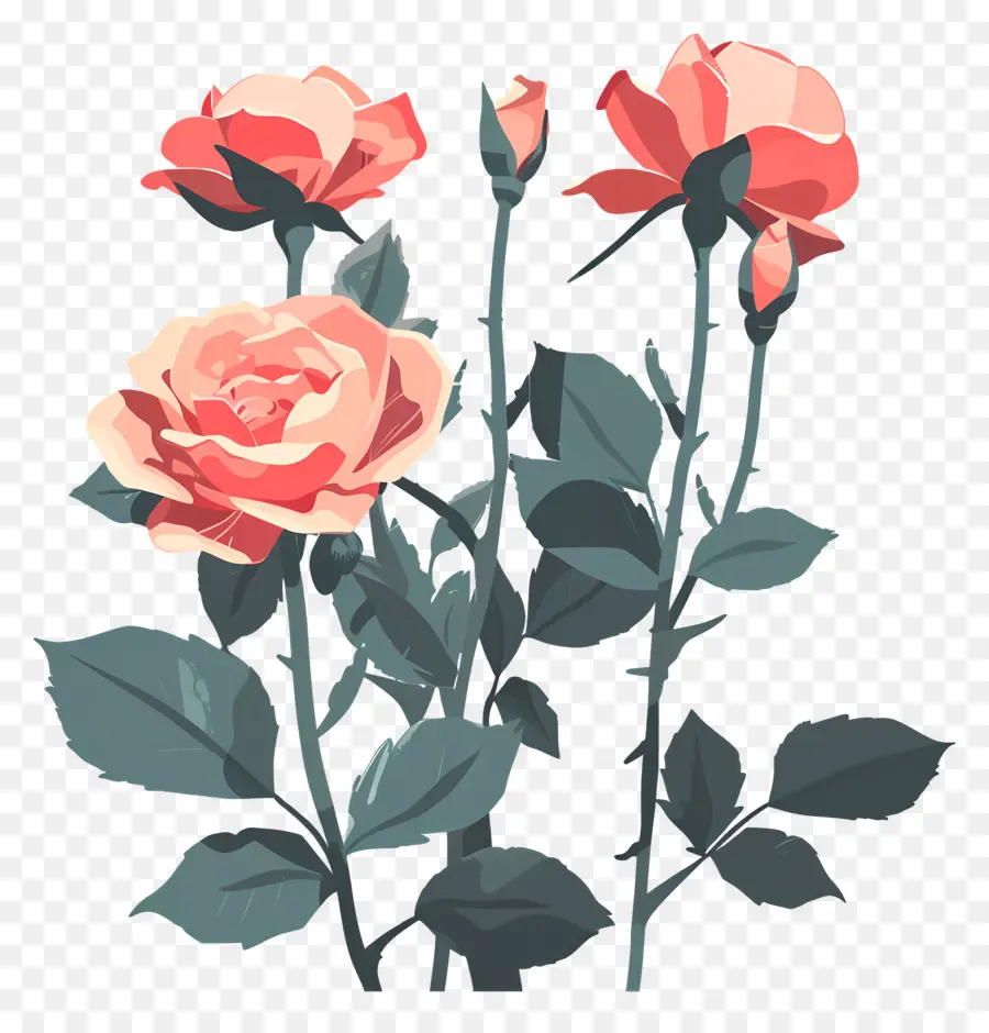 Jardim Das Rosas，Rosas Cor De Rosa PNG