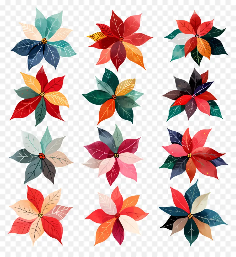 Poinsettia，Flores De Papel PNG