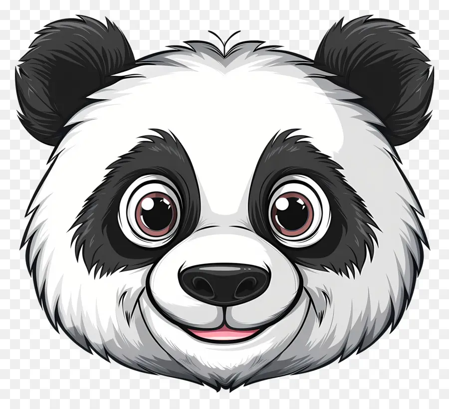 Rosto Fofo Do Panda，Urso Panda PNG