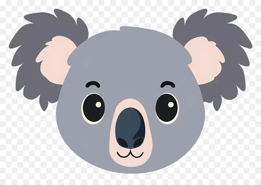 Rosto De Coala Fofo，Koala PNG