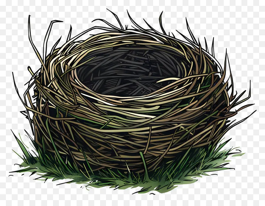 Nest，Ninho De Pássaro PNG