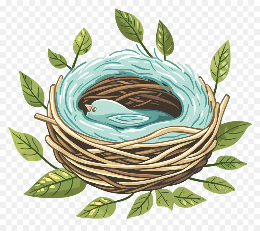 Nest，Ninho De Pássaro PNG