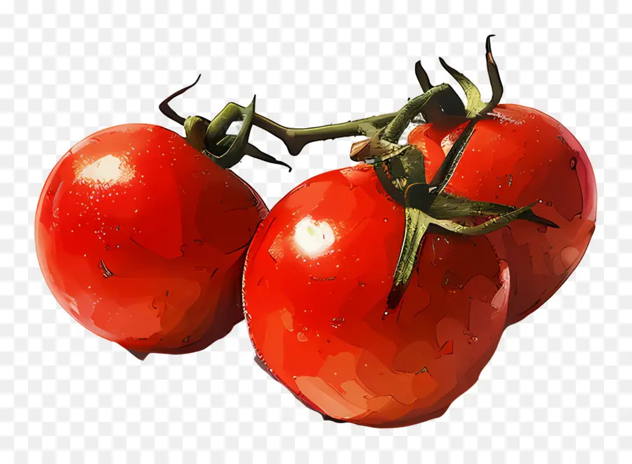 Tomates，Tomates Vermelhos PNG