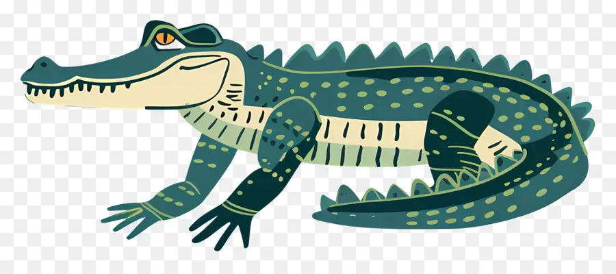 Jacaré，Crocodilo PNG