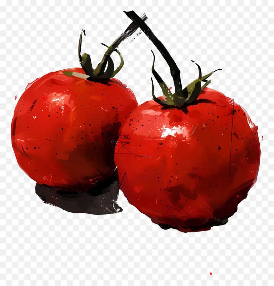 Tomates，Pintura PNG