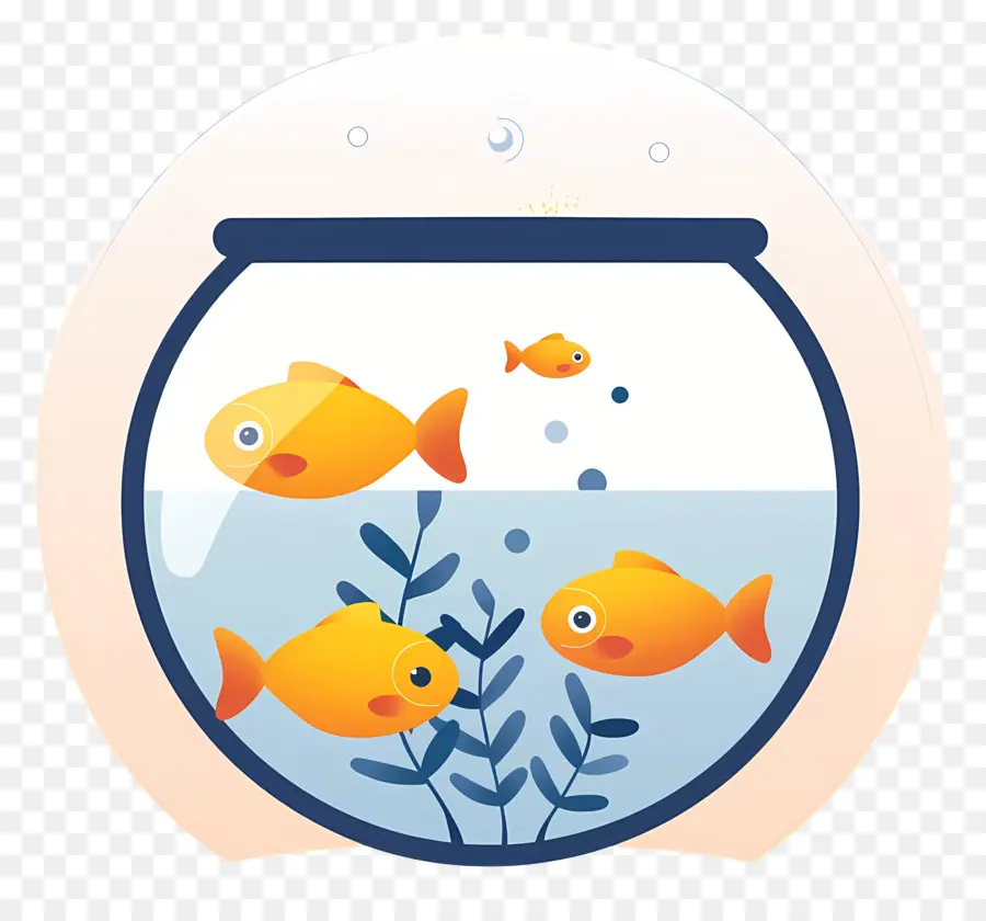 Fish Bowl，Sobre O Aquário PNG