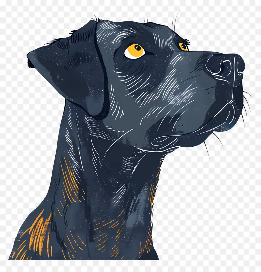 Cachorro，Retrato PNG