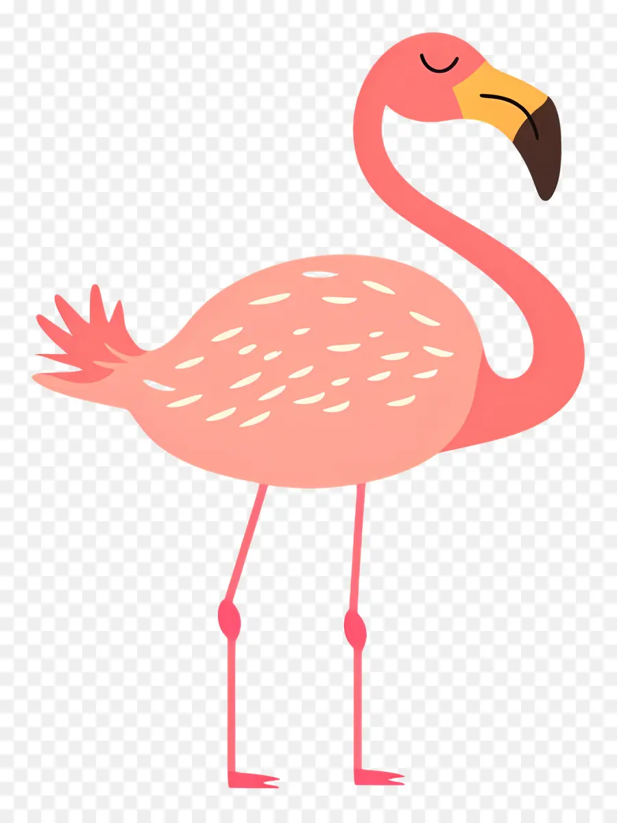 Flamingo，Cor De Rosa Flamingo PNG