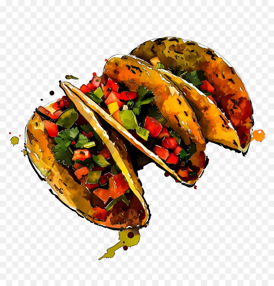 Tacos，Tortillas PNG