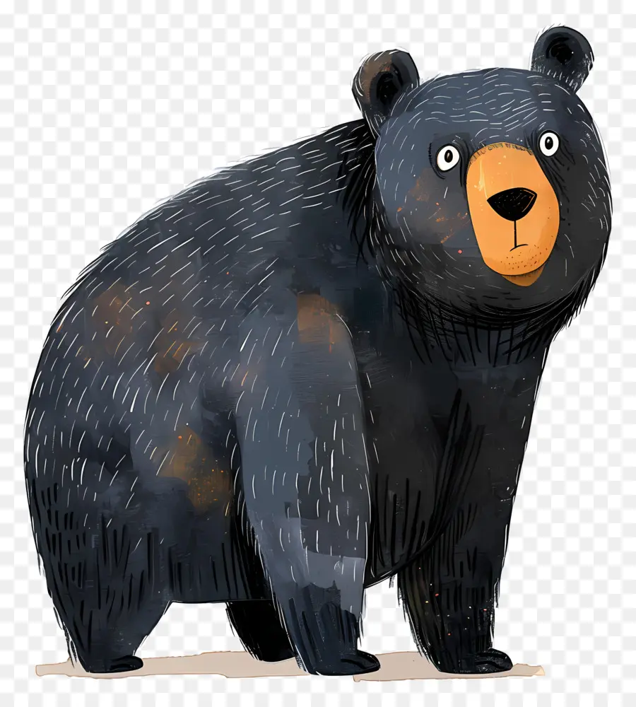 Urso，Urso Preto PNG