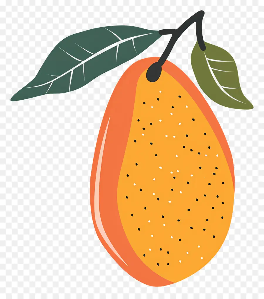 Mango，Fruto De Laranja PNG