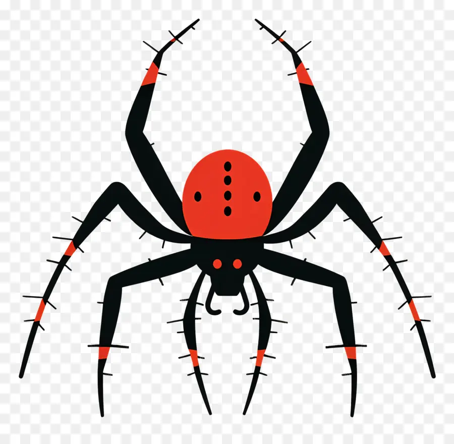 Aranha，Aranha Viúva Negra PNG