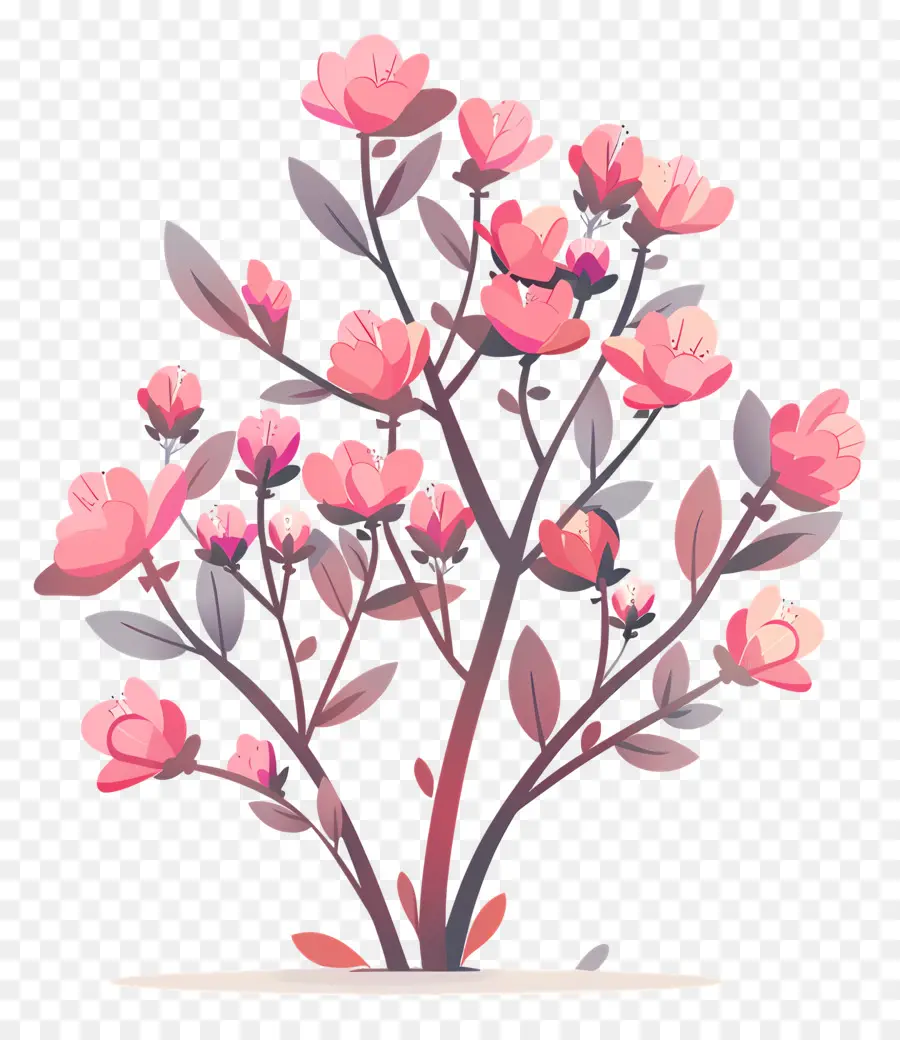 Arbusto De Floração，Árvore De Flores Rosa PNG