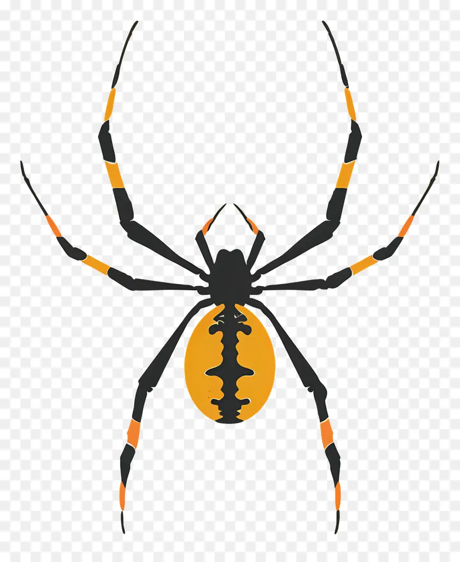 Aranha，Pernas Amarelas PNG