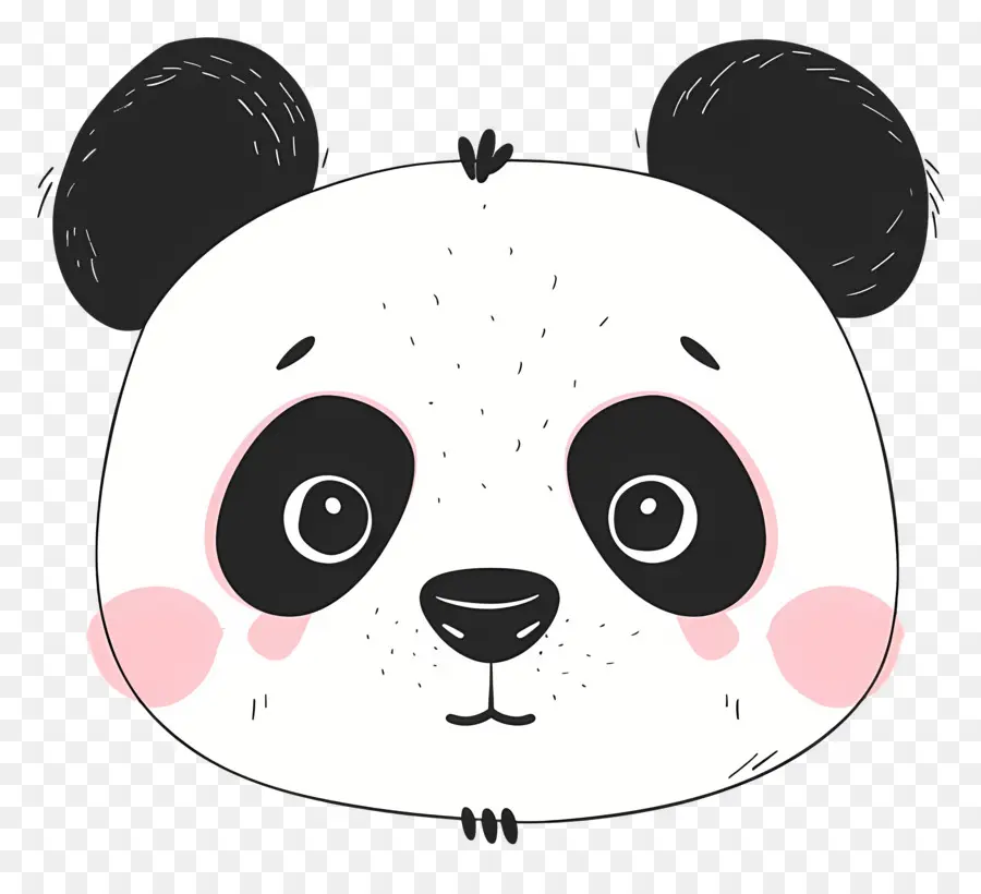 Rosto Fofo Do Panda，Urso Panda PNG