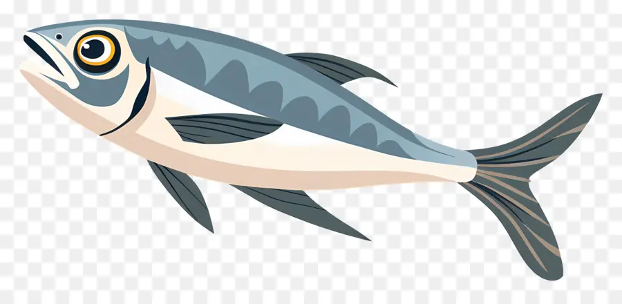 Sardinha，Bluefish PNG