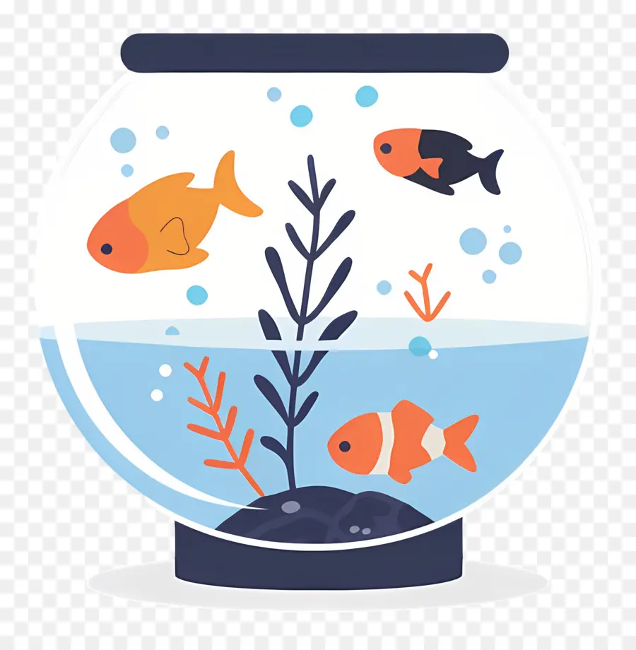 Fish Bowl，Sobre O Aquário PNG