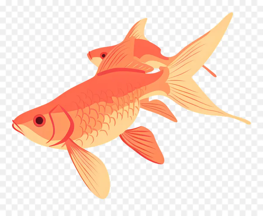 Peixinho，Peixe PNG