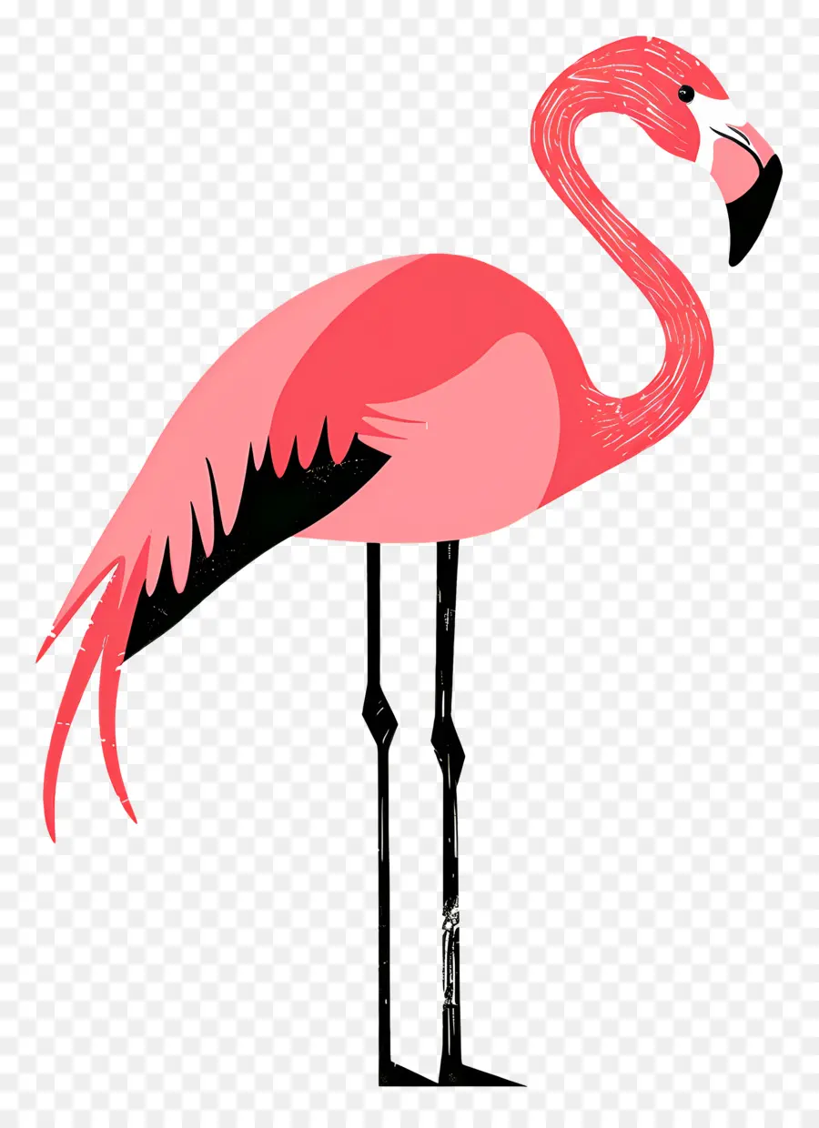 Flamingo，Cor De Rosa Flamingo PNG