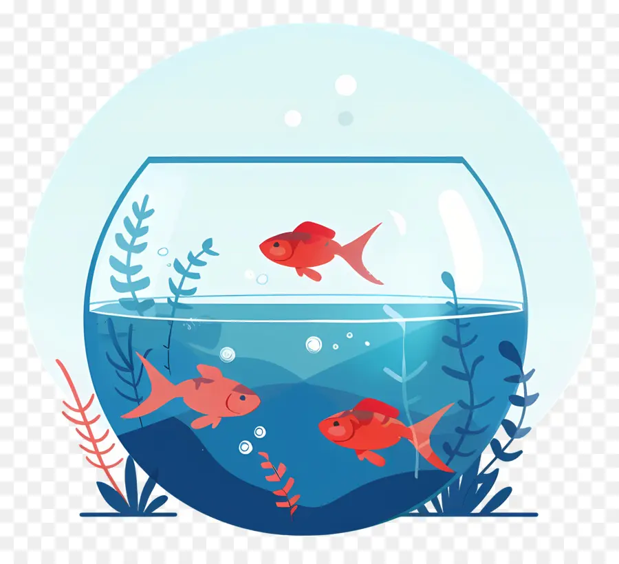 Fish Bowl，Plantas De água PNG