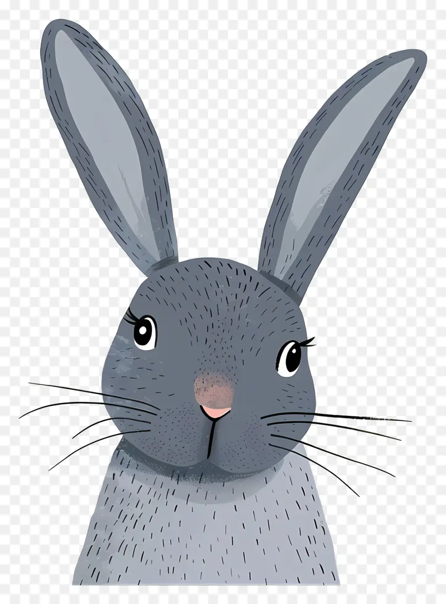 Bunny，Coelho PNG