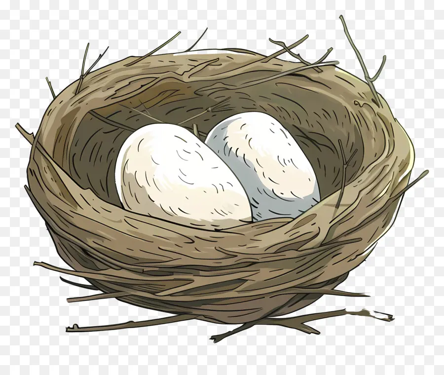 Nest，Eggs PNG