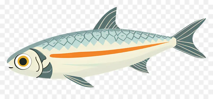 Sardinha，Peixe PNG