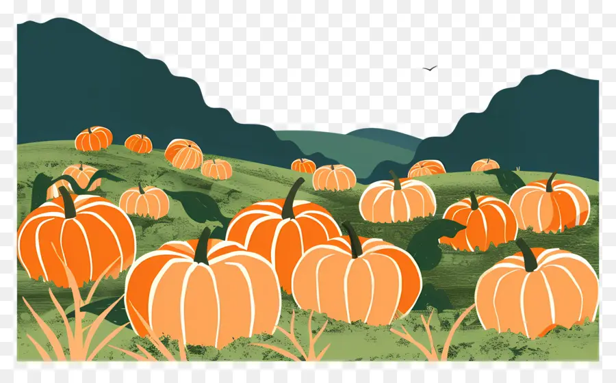 Pumpkin Patch，Colheita De Outono PNG