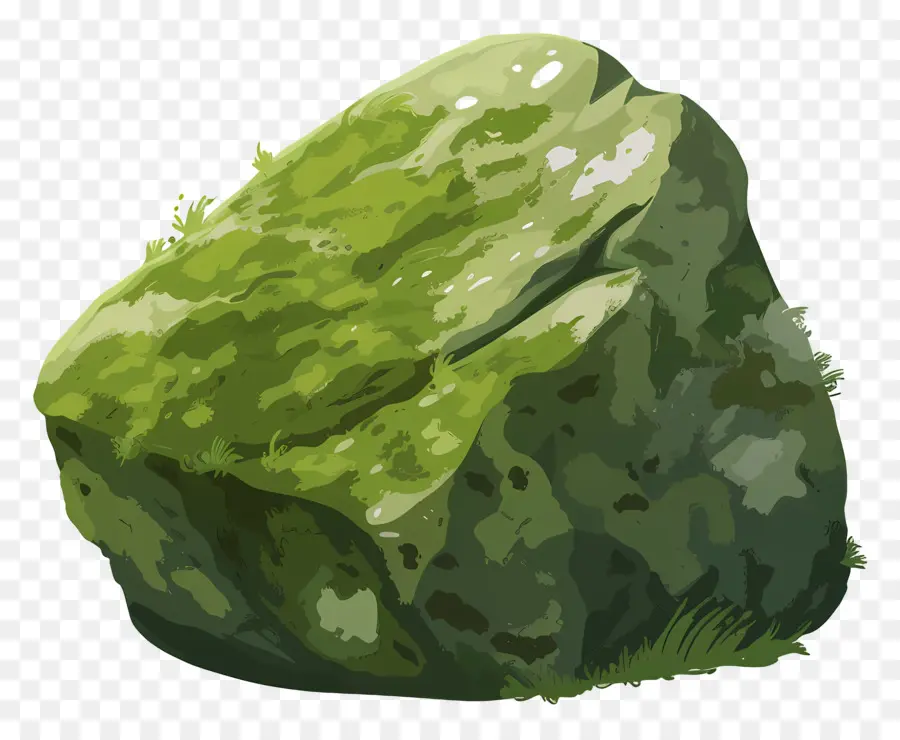 Musgo Da Pedra，Moss PNG