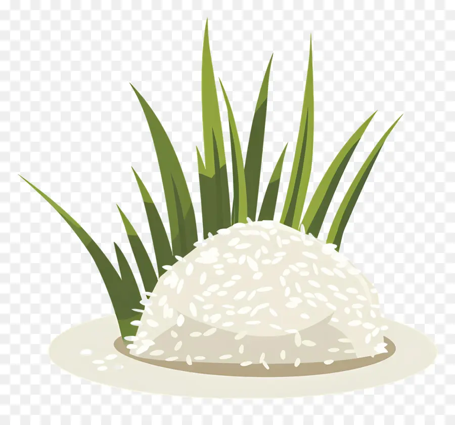 Arroz，Arroz Branco PNG