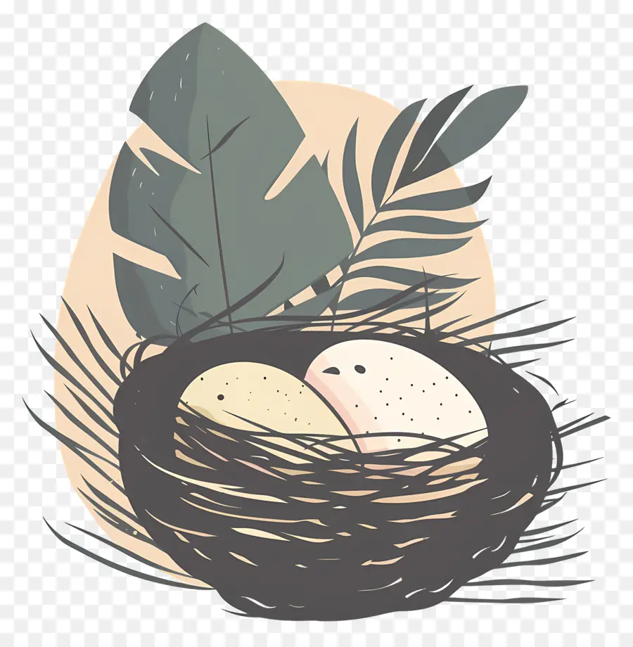 Nest，Ninho De Pássaro PNG