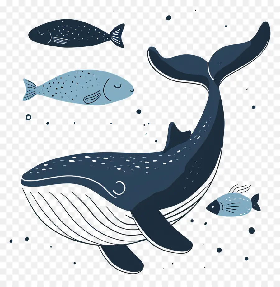 Baleia E Peixe，Baleia Azul PNG