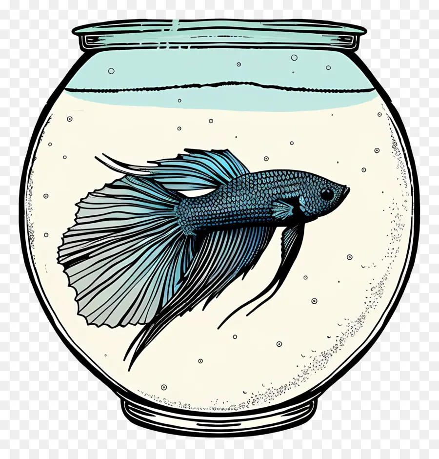 Peixe Betta，Sobre O Aquário PNG