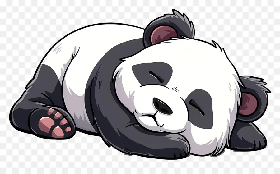 Panda Adormecido，Bonitinho PNG