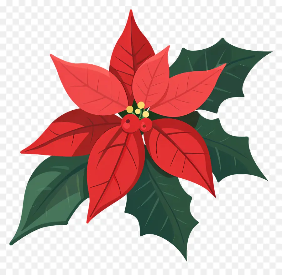 Flor Do Natal，Red Poinsettia PNG