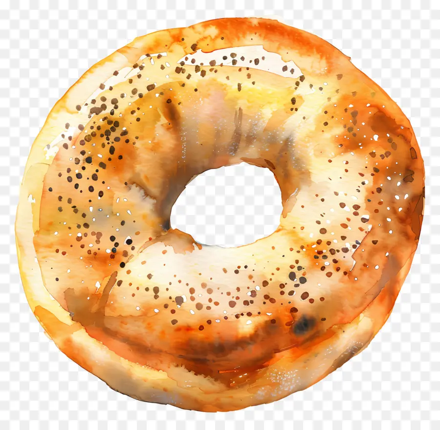 Bagel，Pão PNG