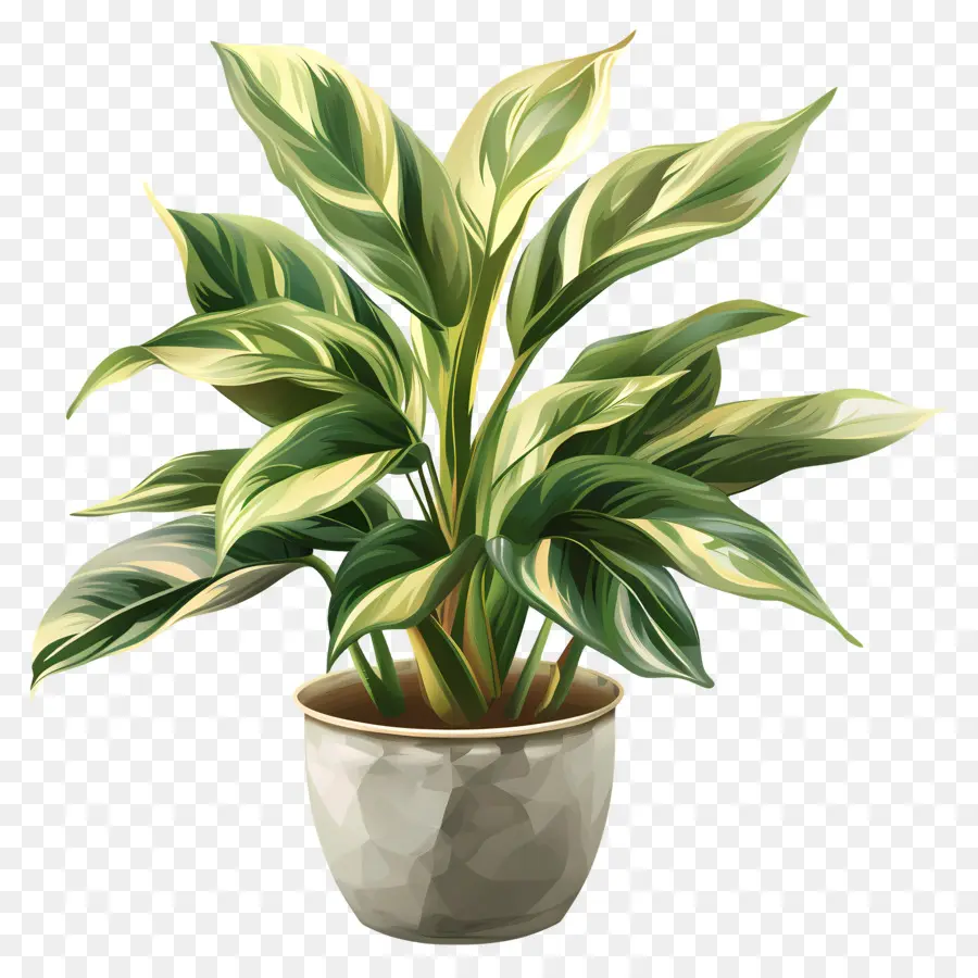 Planta Em Vaso Verde，Folhas PNG