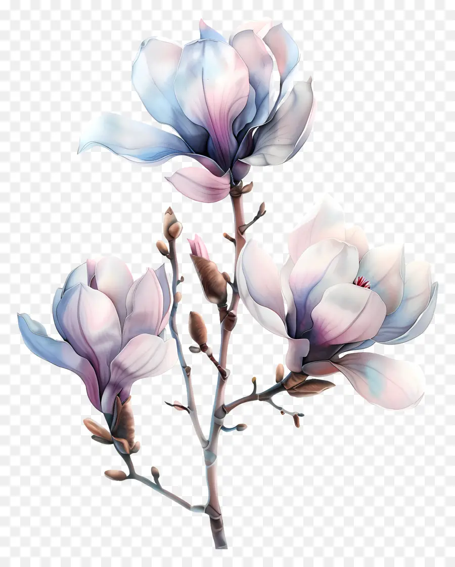 Pastel Flor，Pintura Das Flores PNG