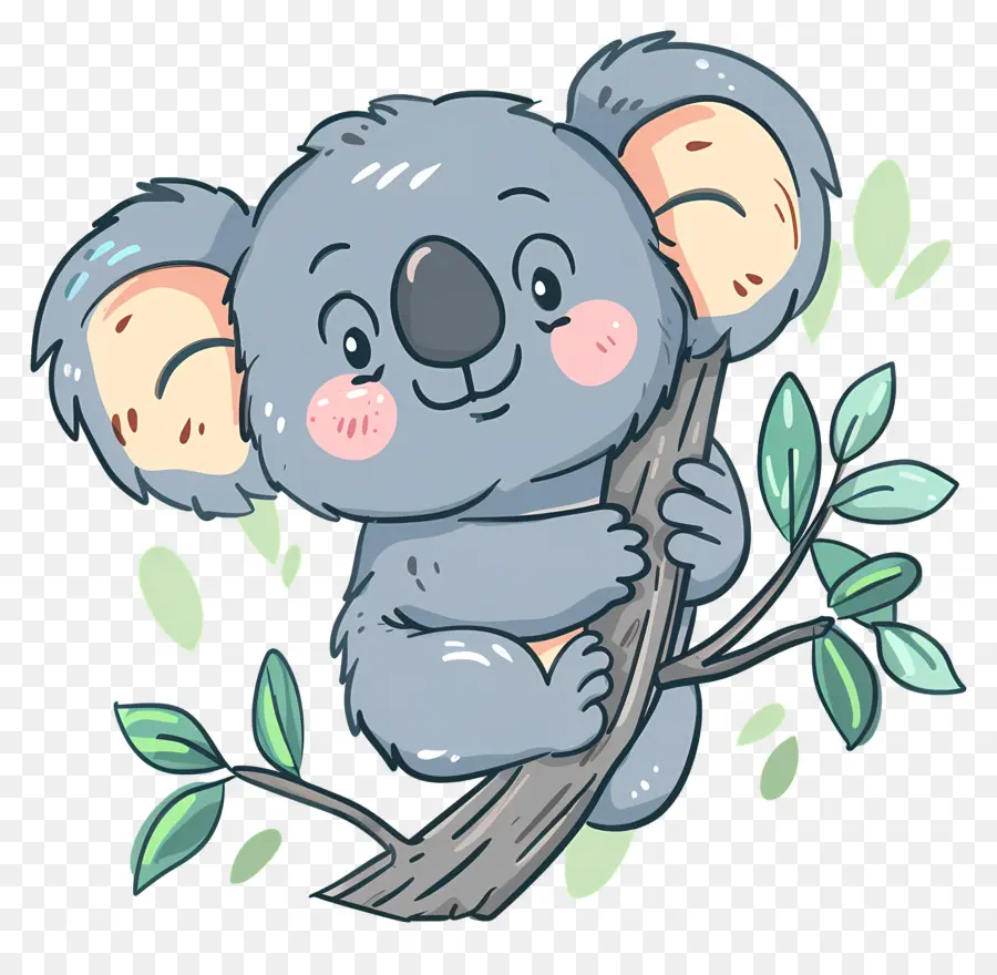 Koala，Cartoon Canguru PNG