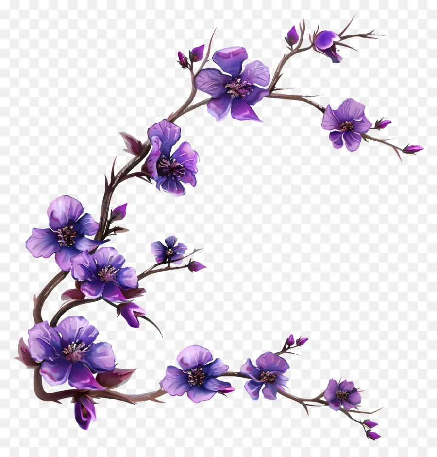 Flores，Filial PNG