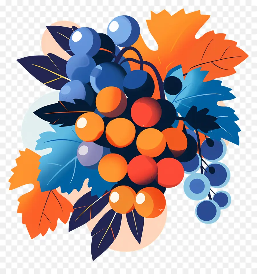 Uvas，Frutas PNG