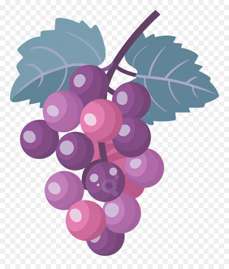 Uvas，Roxo PNG