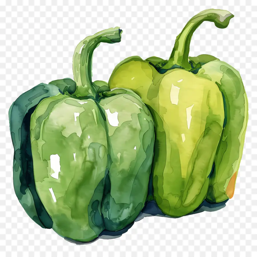 Pimentões，Pintura De Pimentão Verde PNG