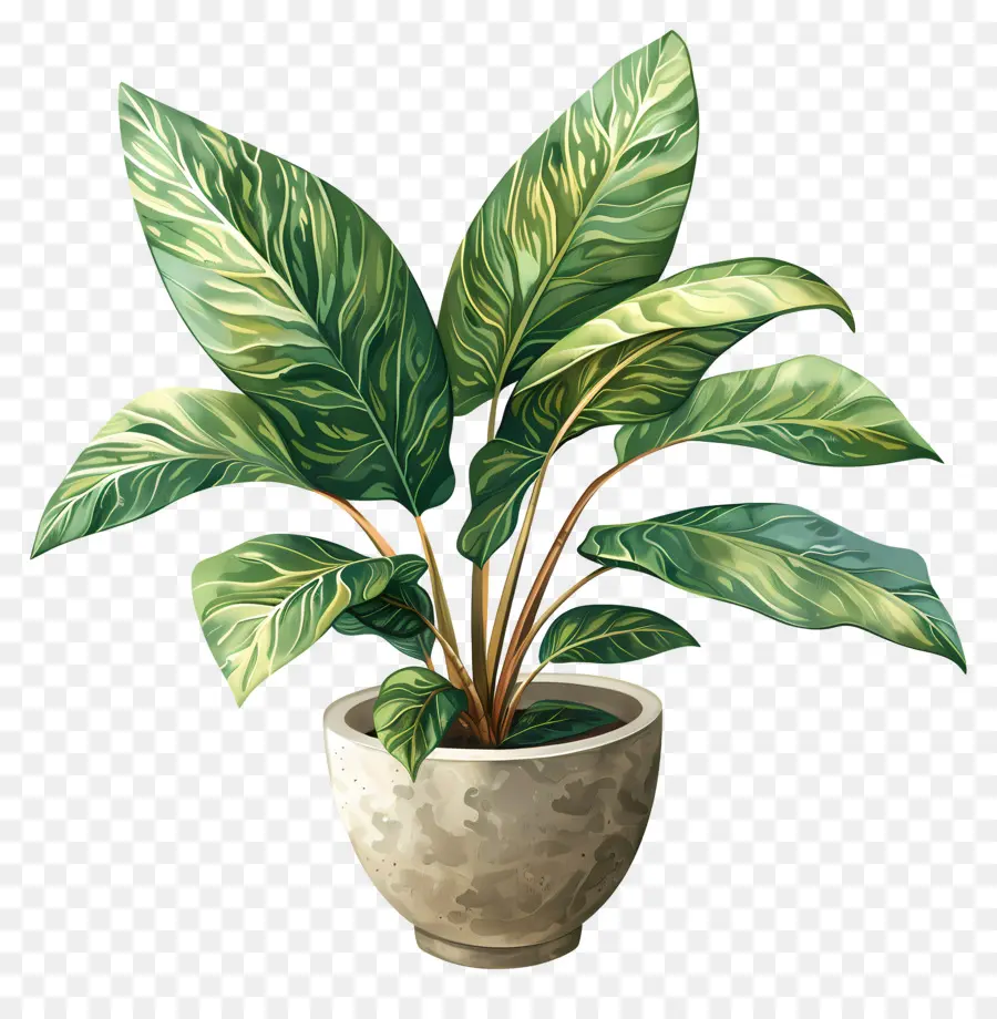 Planta Em Vaso，Folhas PNG