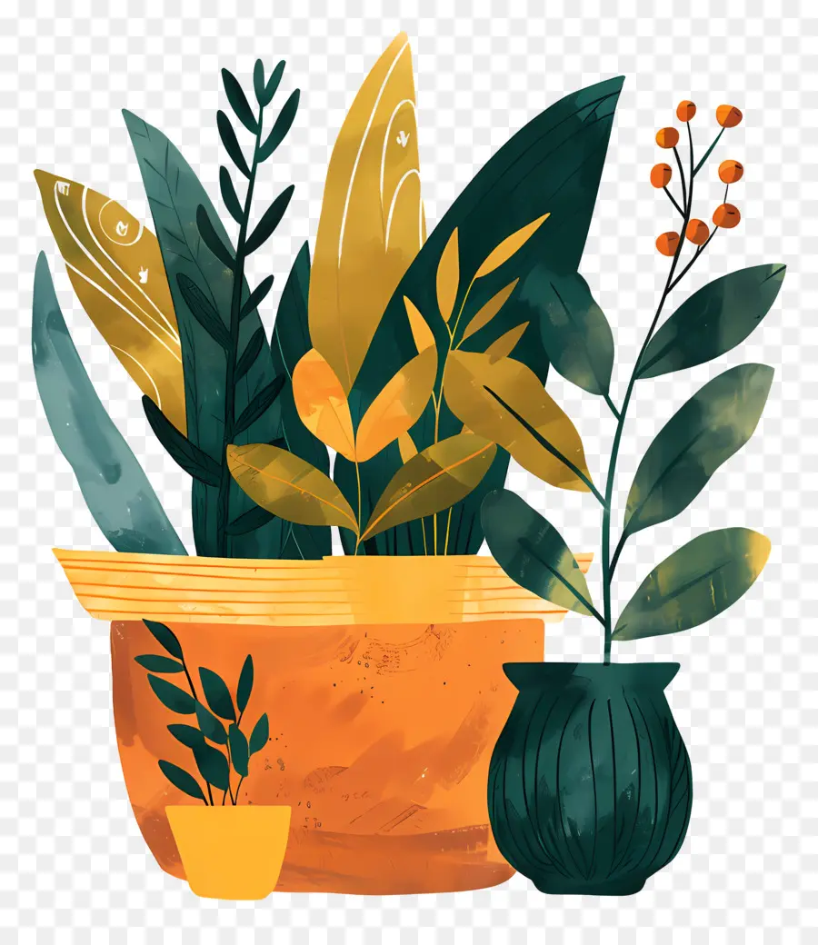 Plantas Interiores，Plantas Em Vasos PNG