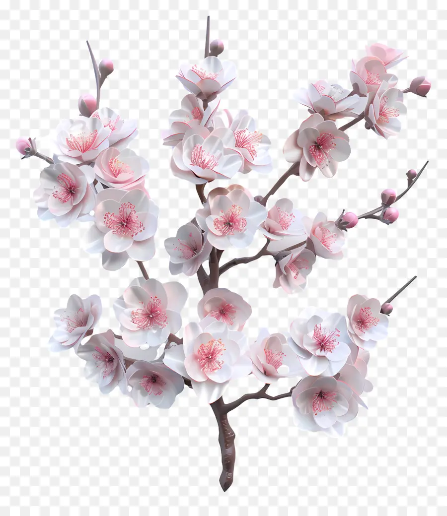 Conde Sakura，Flor De Cerejeira PNG