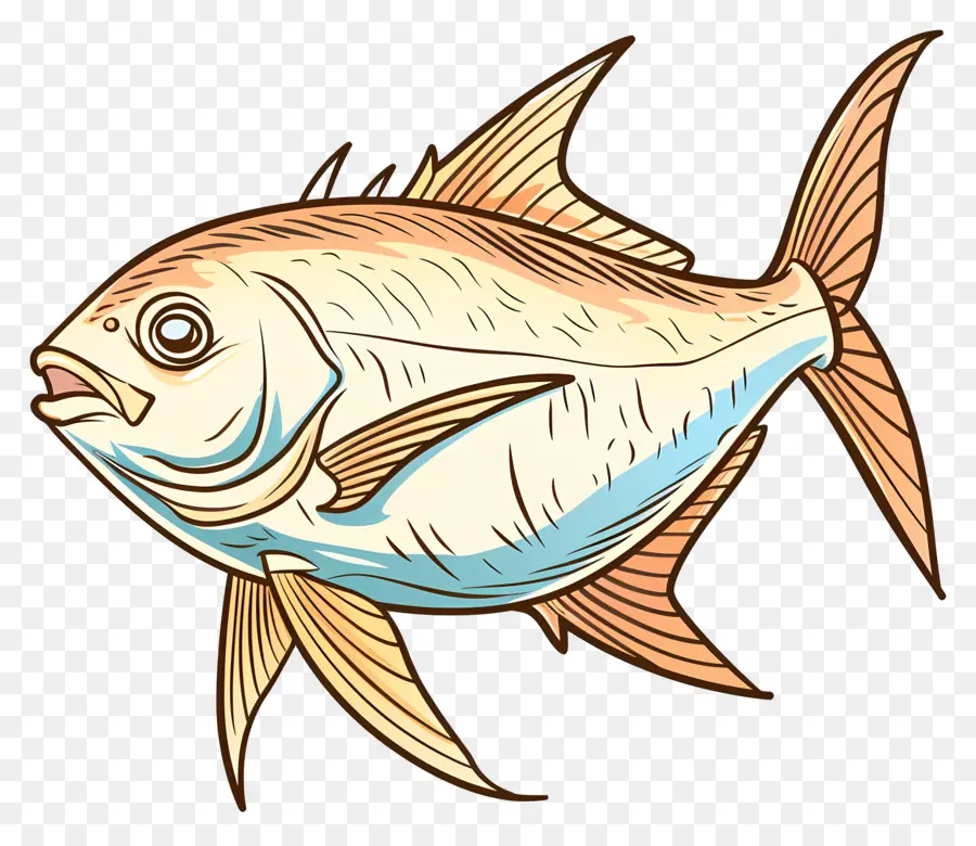 Peixe，Truta PNG