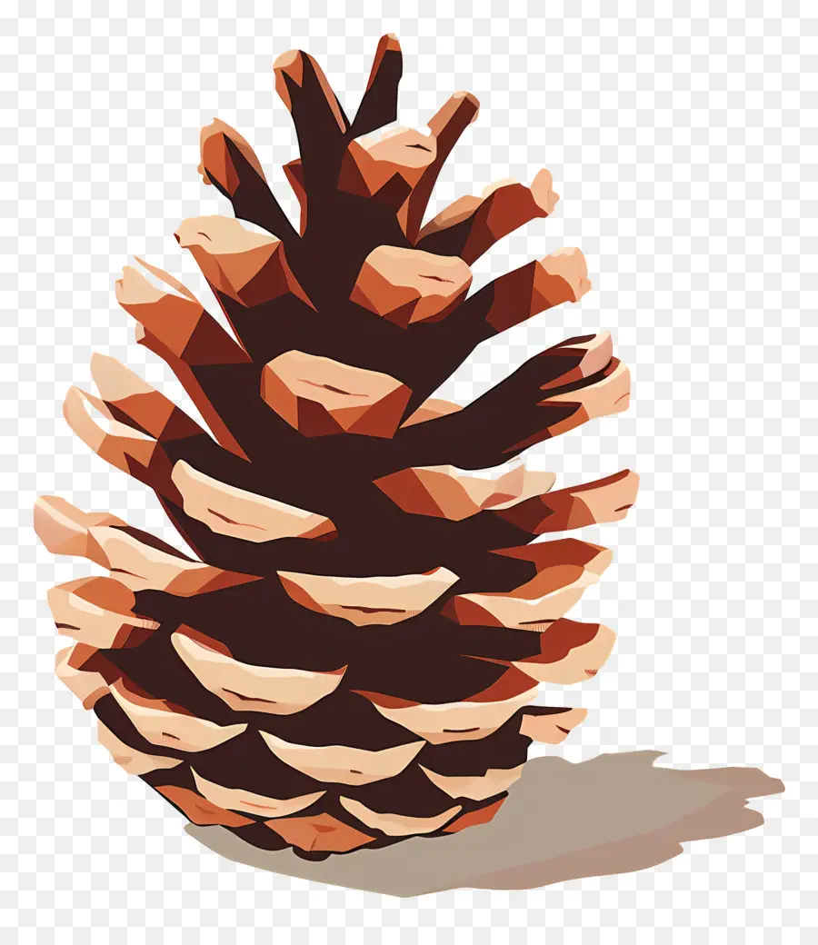 Pinecone，Brown PNG