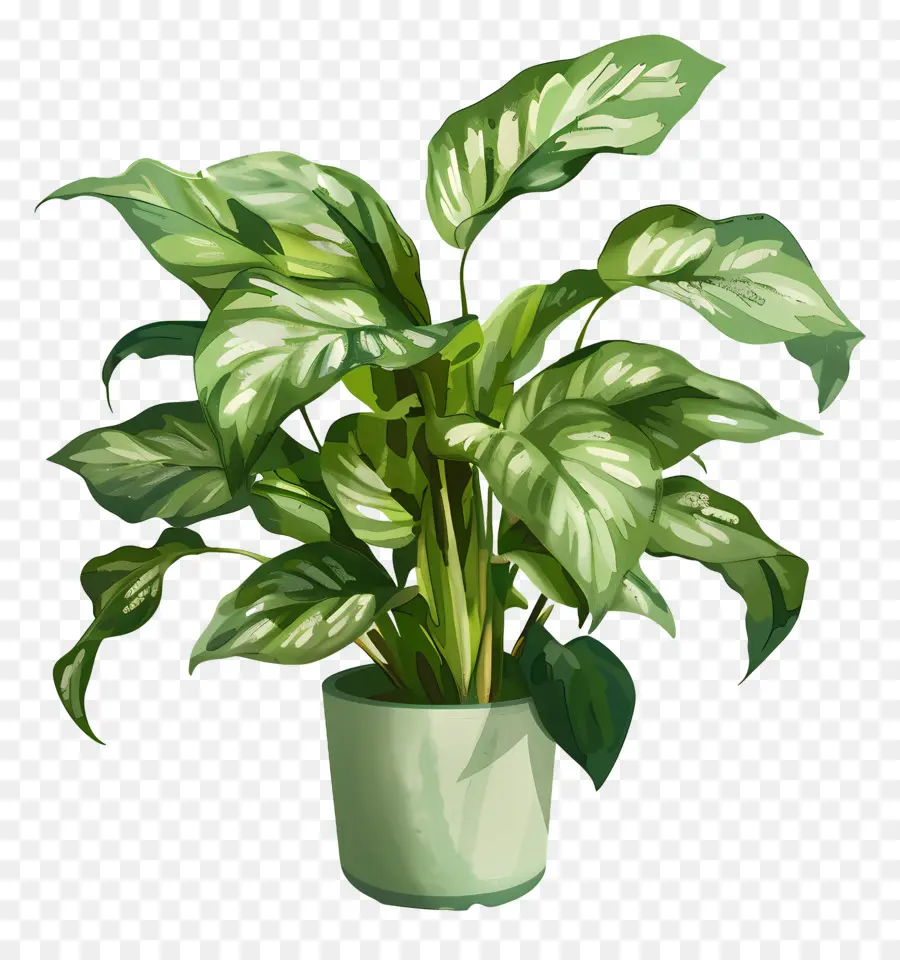 Planta Em Vaso，Folhas PNG