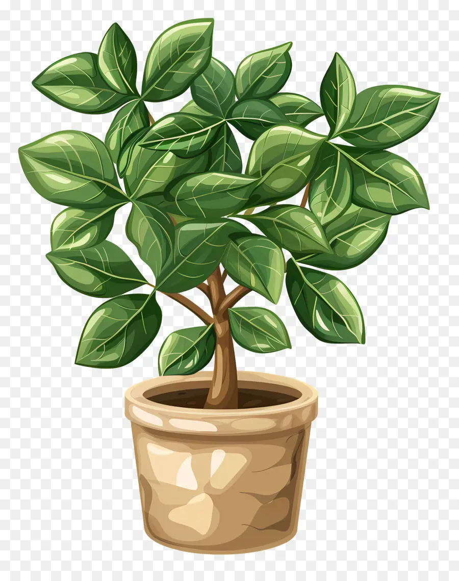 Planta Em Vaso，Folhas PNG